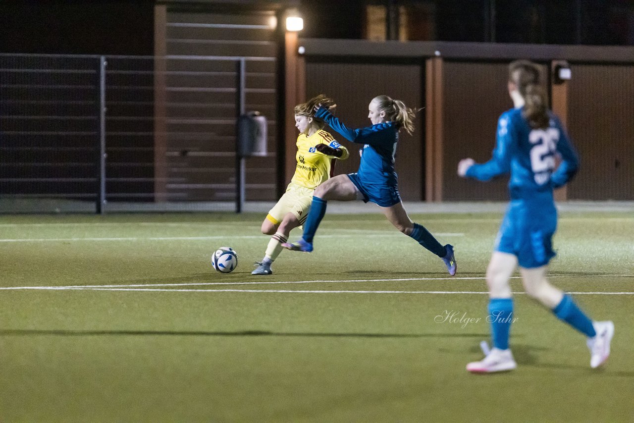 Bild 100 - F SC Alstertal-Langenhorn - Hamburger SV 3 : Ergebnis: 2:2